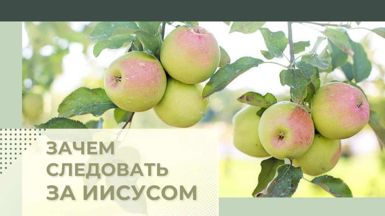 15. ЗАЧЕМ СЛЕДОВАТЬ ЗА ИИСУСОМ? Церковь "Сонрак - Святая радость", Миссионерский центр