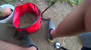 Ловлю карпа на навоз 😮😮😮