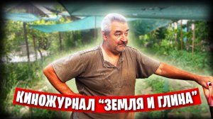 Донецкие грядки / Как я подвязываю огурцы /  Начал ремонт во дворе