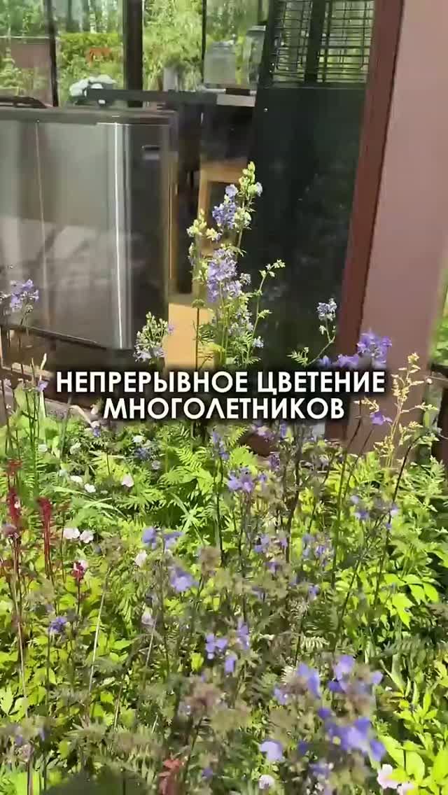 ЦВЕТНИК НЕПРЕРЫВНОГО ЦВЕТЕНИЯ