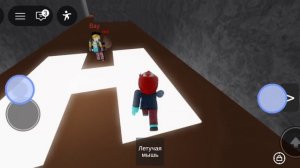 играю в роблокс