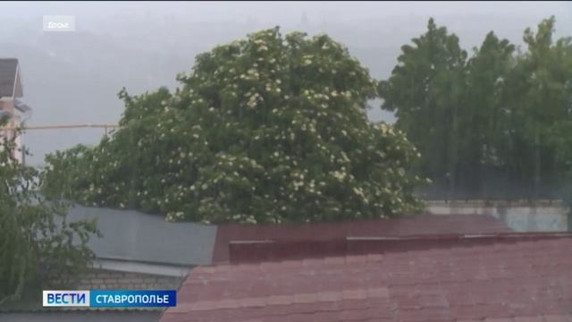 Вести. Ставропольский край» 22.06.2026 (11.30)