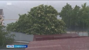 Вести. Ставропольский край» 22.06.2026 (11.30)