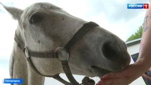 Ставропольские поисковики осваивают конное направление
