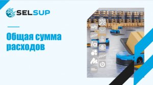 ОБЩАЯ СУММА РАСХОДОВ В ОТЧЕТЕ «О ПРИБЫЛИ И УБЫТКАХ»