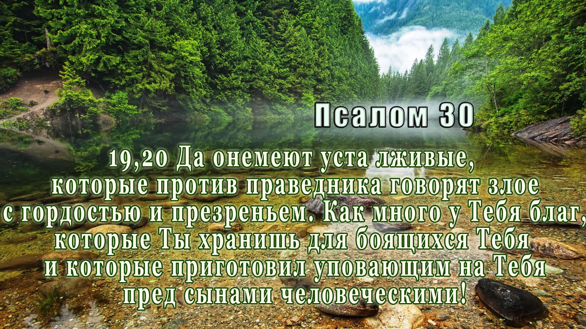 Лексика царя Давида-2я ч. Что читать и как, когда вас истязают, душу рвут, клевещут и.т.д. Псалом 30