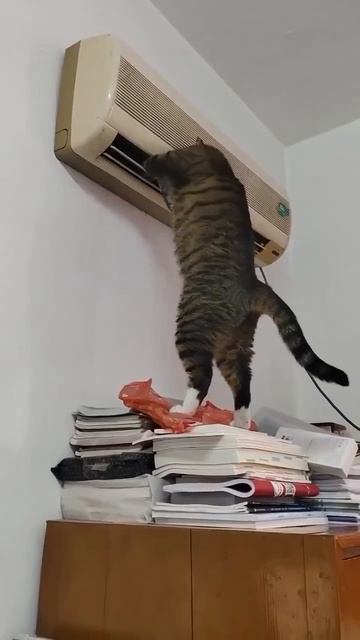 Михалыч, тут всё менять надо