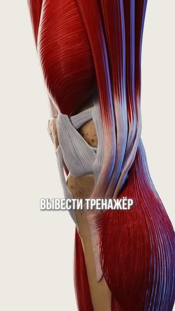 Фёдоров упражнение при боли в коленях смотреть онлайн