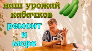 Ейск🌹Наш урожай кабачков. Обалденный рулет из курицы.  Ремонт и море. Казино...