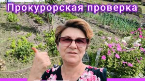 Катушка для триммера ПАУК! ВЫКОСИЛ ВСЁ! Начальник на обходе.😳😡