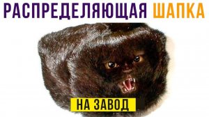 Распределяющая батина шапка) Приколы