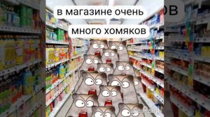 Очень много хомяков в магазине