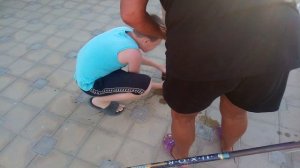 Ловля черепахи на поплавочную удочку
