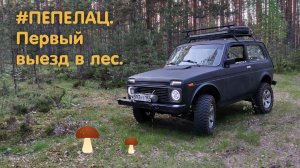 Пепелац. Первый выезд в лес на бездорожье. Первые грибы. Нива. Бобровая плотина.