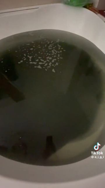 1000018191.mp4 смотреть онлайн
