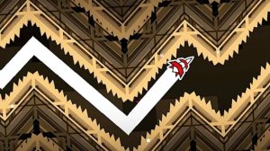 VSC