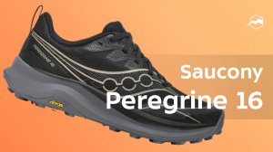 Кроссовки Saucony Peregrine 16