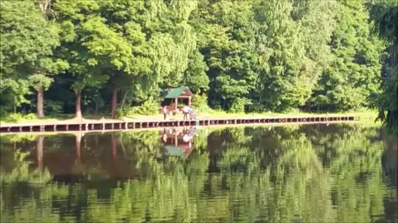 Утренний обзор с нижнего водоёма. Клёвое место, Лосиный остров. смотреть онлайн