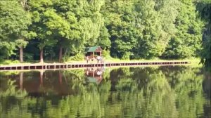 Утренний обзор с нижнего водоёма. Клёвое место, Лосиный остров.