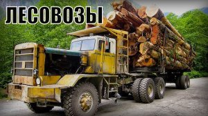 5 Грузовиков – Лесовозов Самые большие тягачи для транспортировки леса в мире