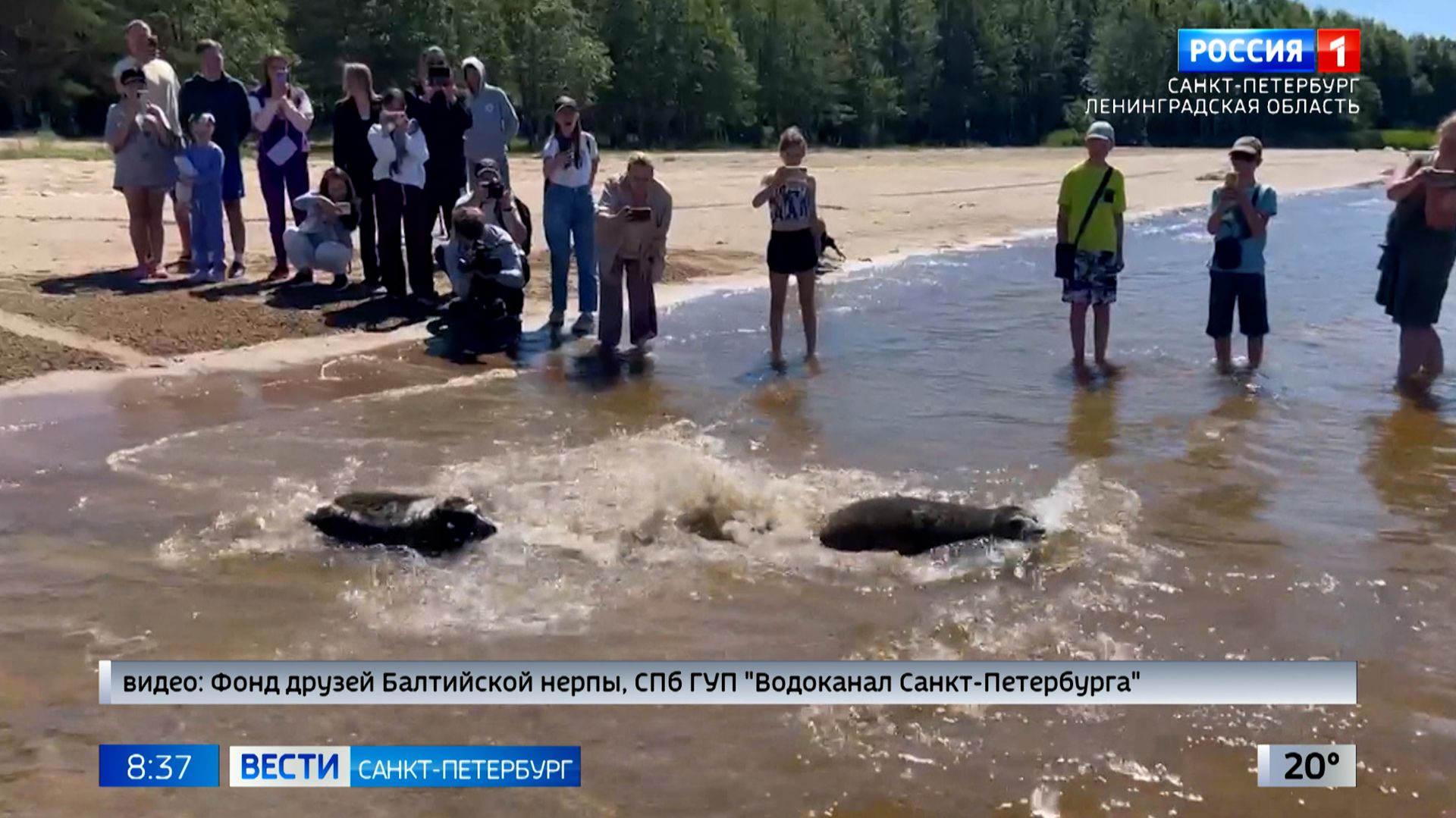 Вести Санкт-Петербург. Выпуск 08.35 от 22.06.2026 смотреть онлайн