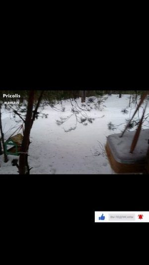Нашли интересное место в лесу за парком во Владимире