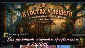 Загадка алгоритмов Rutube: как здесь вообще работает продвижение?
