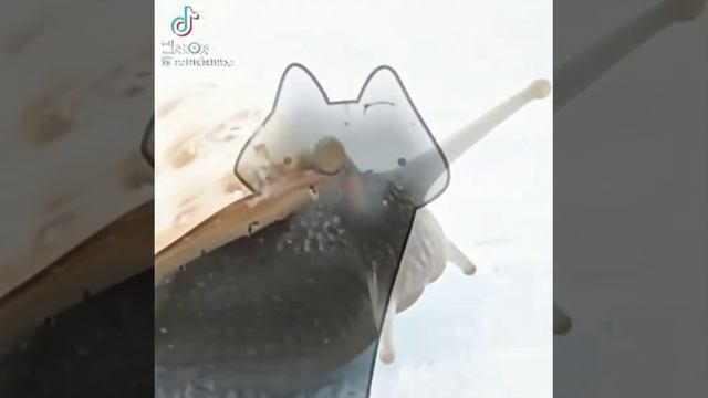хахваа смотреть онлайн