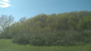 Село Бобровый Гай, Пугачевский район.