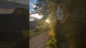 тихий закат