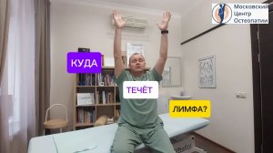 Как РАЗОГНАТЬ ЛИМФУ? Анатомия + Лучшие упражнения от отеков