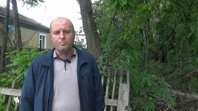 Проблема бродячих собак в городе