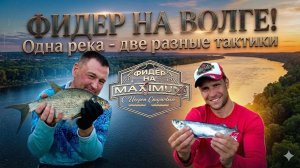Ловля леща и разнорыбицы ФИДЕРОМ | две разные тактики на ВОЛГЕ | Что окажется выигрышнее?