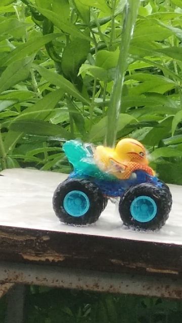 Duck 'n roll color shirter | Hot Wheels monster trucks