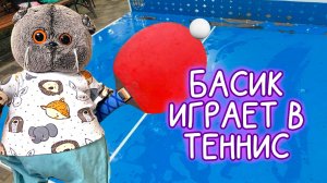 🏓🐱🌳БАСИК ИГРАЕТ В ТЕННИС / КАК НАЗВАЛИ МАЛЫШЕЙ #Басикилето #Волшебныебудни