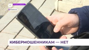 Новые положения для борьбы с кибермошенниками одобрили в Совете Федерации