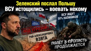 У Зеленского что-то «личное» к Польше || Мечта про 30-50% наёмников в ВСУ несбыточна