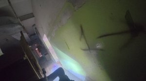 Балтиец 210626