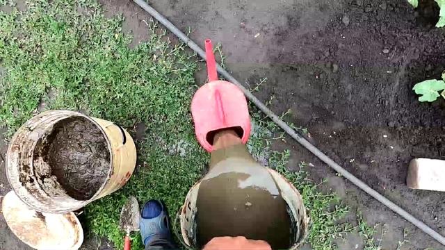 Подкормка арбузов и кабачков