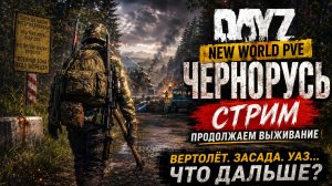 ПО НАМ ОТКРЫЛИ ОГОНЬ У ВЕРТОЛЁТА… НО МЫ КУПИЛИ УАЗ! | DayZ NEW WORLD PVE Чернорусь Стрим