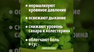 Зачем добавлять огурцы в ежедневное питание
