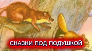 В.Бианки «ТЕРЕМОК»