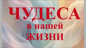 Нарезка фильмов ЧУДЕСА