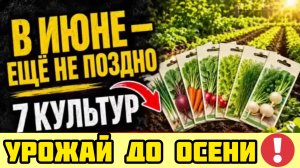ОПОЗДАЛИ? Нет, эти 7 культур можно сеять в июне - урожай будет до осени!