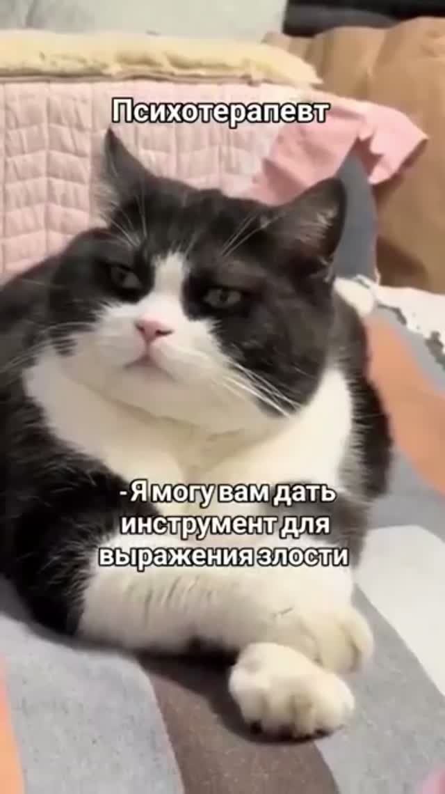 Вот кто ждёт   прикол юмор