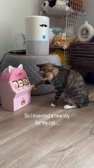 🐈🎰😁