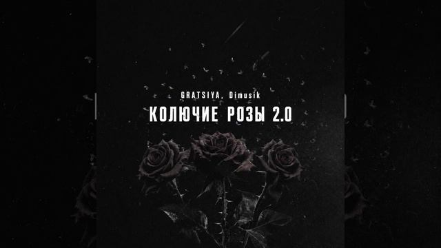 Колючие розы 2.0