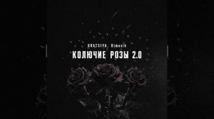 Колючие розы 2.0