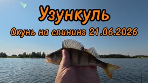 Рыбалка в Челябинской области Узункуль Ловля Окуня