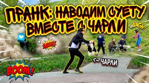 ПРАНК: НАВОДИМ СУЕТУ ВМЕСТЕ С ЧАРЛИ